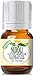 Neroli 100% Pure, Best Therapeutic Grade Essential Oil - 5ml