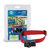 PetSafe Wireless Pet Containment System Receiver Collar for Dogs and Cats Over 8 lb, Waterproof with Tone and Static Correction