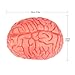 ONEDONE Soft Bloody Brain for Halloween Party Fake Human Brain Body Parts Horror Halloween Prop Pranks Stage Props Haunted House Decoration