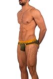 Obviously Lumber Collection - AnatoFREE Hipster Brief