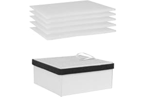 FUMECLEAR FC2001A Replaceable Filter Set with 5pcs pre-Filters and 1pcs 2-in-1 Hepa High Efficiency Coconut Shell Activated Carbon Main Filter