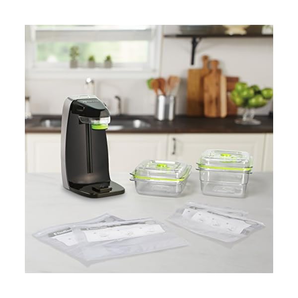 FoodSaver-Space-Saver-Fresh-Appliance-System-for-Zipper-Bags-Fresh-Containers