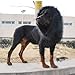 Funny Dog Costume, Lion Mane Wig for Dog Halloween Christmas Dress Up (Color: Black, Size: Large)
