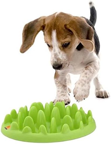 Northmate Green Mini Slow Dog Feeder (PACK OF 6)