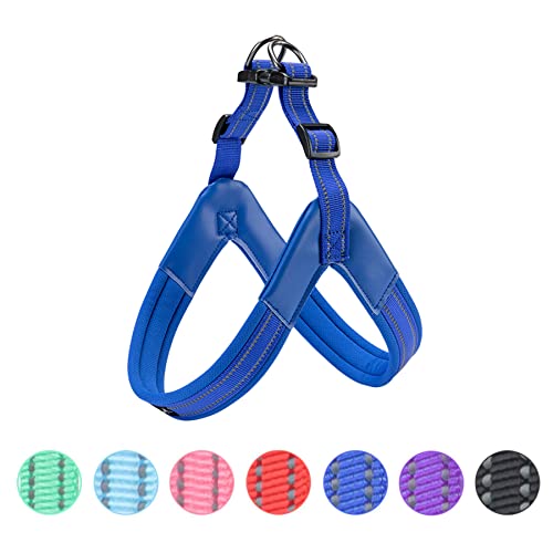 Photo 1 of EXCELLENT ELITE SPANKER No Pull Dog Harness Step-in Adjustable Reflective Vest Soft Padded Easy Pet Chest Strap with Leash Clips for Small Medium Large Dogs Walking Training(Blue-M)