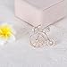 sourjas Clear Crystal Gold Plated Art Deco Bike Bicycle Flower Brooch Party Prom Women Lady Accessory