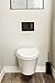 Kohler 8857-7 Bevel Flush Actuator, Black