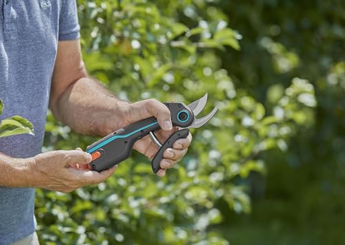 Gardena AssistCut: Cordless Pruning Shears with a Cutting Diameter of 25 mm, for Easy and Effortless Cutting of Branches, Young Shoots and Flowers, with USB-C Charging Cable (12222-20)