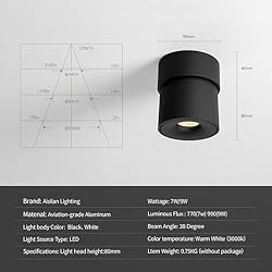 Aisilan LED Ceiling Spot Light Indoor Dimmable 2