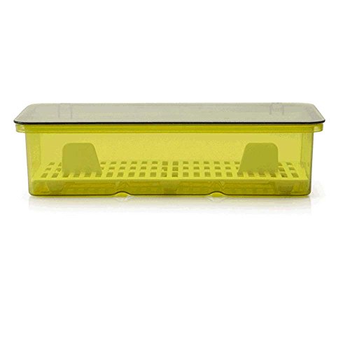 Aiyoo Flatware Tray Kitchen Drawer Organizer With Lid And Drainer