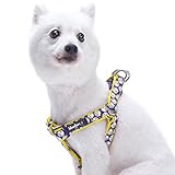 Blueberry Pet 2 Patterns Soft & Comfy Step-in
