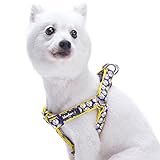 Blueberry Pet 2 Patterns Soft & Comfy Step-in