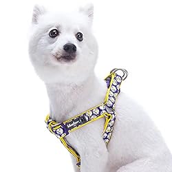 Blueberry Pet 2 Patterns Soft & Comfy Step-in
