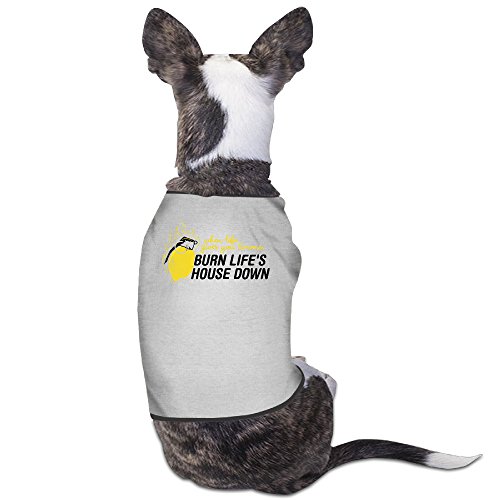 funny dog jackets