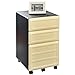 Ameriwood Home Altra Furniture 9523096 Pursuit Mobile File Cabinet, Gray