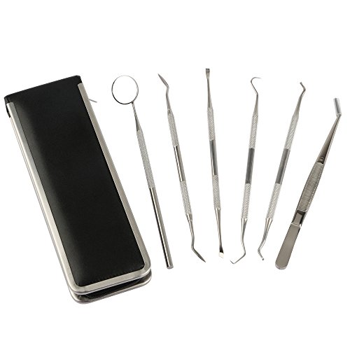 6PCS Dental Tool Stainless Steel Dental Explorers Mirror Odontoscope Tooth Scraper Plier Waxing Carving Kit Dentistry Instrument