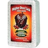 Mighty Deer Lick 22340 Sweet Acorn Salt Lick Block