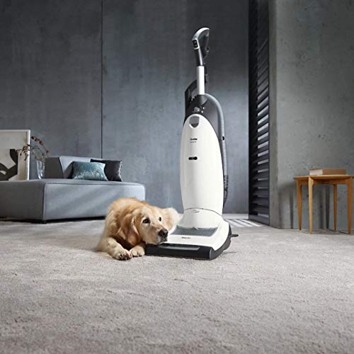 Miele Cat and Dog U1 Dynamic Upright HEPA Vacuum Cleaner with STB101