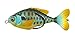 Lunkerhunt Prop Series Prop Series-Sunfish Propfish-Pumpkin Seed 3.5