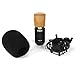 LyxPro Kit: Large Diaphragm Cardioid Condenser Microphone, Sound Absorbing Panel, Pop Filter, Shockmount, Cable, Windscreen, Case