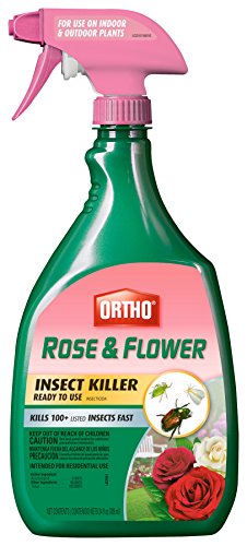 Ortho Rose Flower Insect Killer
