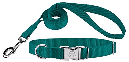 Country Brook Design Premium Nylon Dog Collar and Leash - Teal - Medium