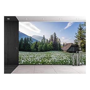 Wood Hut with Flowers Surrounded with Beautiful Nature Scenery - Removable Wall Mural | Self-Adhesive Large Wallpaper - 66x96 inches