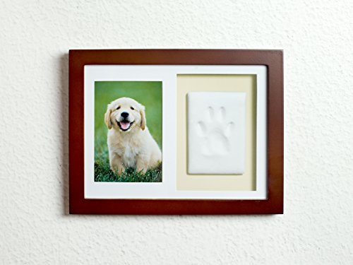 Tiny Ideas Dog or Cat Paw Print Keepsake Wall Frame Kit