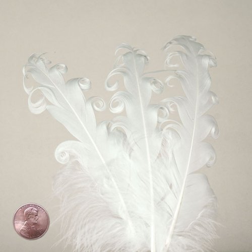White Nagorie Goose Feathers, 5" to 7" (10/Pack)