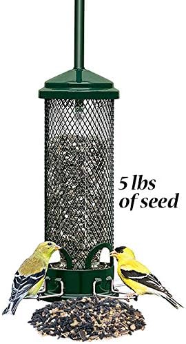 Amazon Com Squirrel Buster Mini Squirrel Proof Bird Feeder With