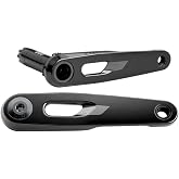 SRAM Rival Crank Arm Assembly - 165mm, 12/13-Speed, 8-Bolt Direct Mount, Du | DUB Spindle, Black, E1