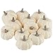 Factory Direct Craft 12 Small Harvest Off White Baby Boo Artificial Pumpkins for Halloween, Fall and Thanksgiving Decorating