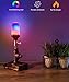 Govee LED Flame Effect Light Bulb, Flickering RGB Decorative Fire Light Bulb with Upside Down Effect Simulated, E26 2W 3 Modes LED Bulb for Christmas Indoor/Outdoor Hotel Bars Home Restaurants -2 Pack