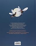 Image de histoires de dragons et autres créatures fantastiques