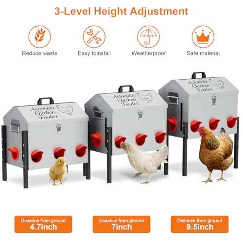 NEYCIL 50LB Automatic Chicken Feeder, Metal Chicken Feeder with Window, No-Waste Poultry Feeder with 8 Feeding Ports, Adjustable Height, Locking Lid & Weatherproof Design for Outdoor Coop