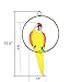 S&F Life Size Hanging Parrot Statue Like a Real Parrot Patio Lawn Ideal Decor for Nature Lovers Tropical Bird Collectors (Big Szie)