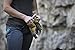 Black Diamond Crag Half-Finger Climbing Gloves, Black, Medium
