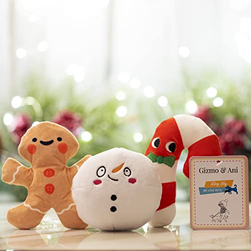 Pup Mom Crate Monthly Dog Box Subscriptions, Dog Christmas Gifts