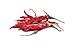 Chile de Arbol Dried Peppers 8oz - Dried Whole Red Chili Peppers, Premium All Natural, Resealable Kraft Bag. Use in Mexican, Chinese and Thai Dishes By Ole Rico
