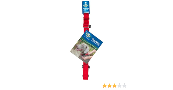 petsafe daycare collar