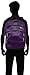 JanSport Mesh Pack Backpack - Vivid Purple