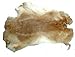 Premium Large Rabbit Pelt – Soft Natural Fur for Crafts, Costumes, Décor & Taxidermy
