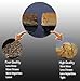 Golden Moxa Superior Mini Moxa Rolls/Moxa Columns (120 count)