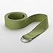 Gaiam Eco Conscious Organic Cotton Yoga Strap (Sage)