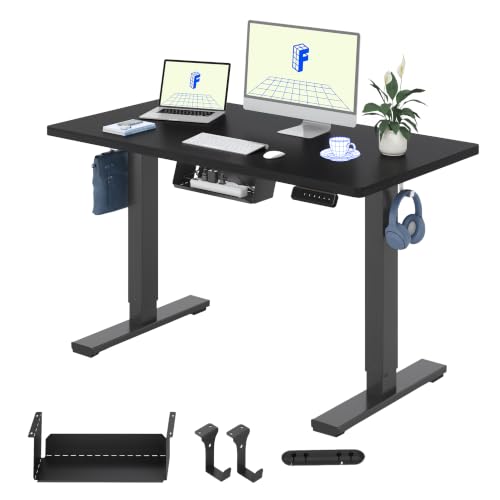 FLEXISPOT Höhenverstellbarer Schreibtisch Basic 120x60cm