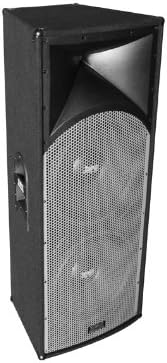 12 inch professional speaker