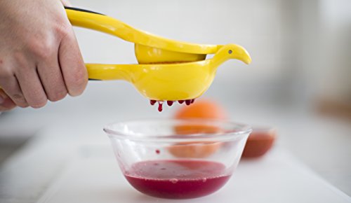 OXO Citrus Squeezer - Image 4