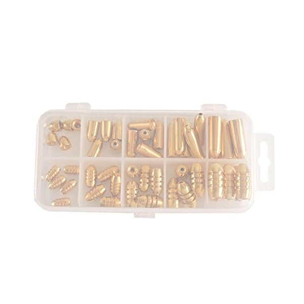 Hanxing-Joint-Bullet-Sinkers-Assorted-Bullet-Weights-Slip-Sinkers-Kit-50-Piece-Kit