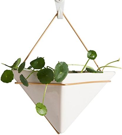 AsureQ 8" Ceramic Geometric Hanging Planter Succulent Flower Pot Air Plant Vase Holder for Indoor and Outdoor Decorative (Triangle)