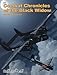 Combat Chronicles of the P-61 Black Widow by